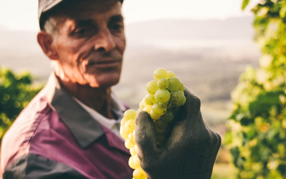 Sustainabillty-True-Taste Sustainabillty-True-Taste